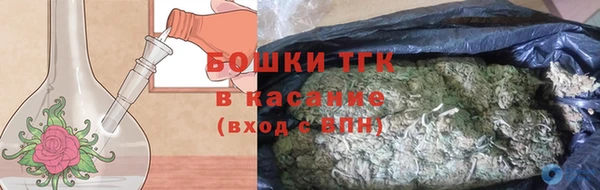 гидропоника Алзамай