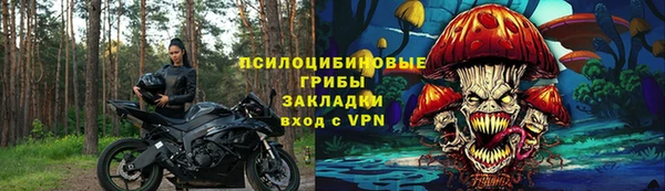 гидропоника Алзамай